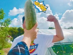 今日吃瓜热门大瓜网红黑料91 今日吃瓜热门大瓜网红黑料91